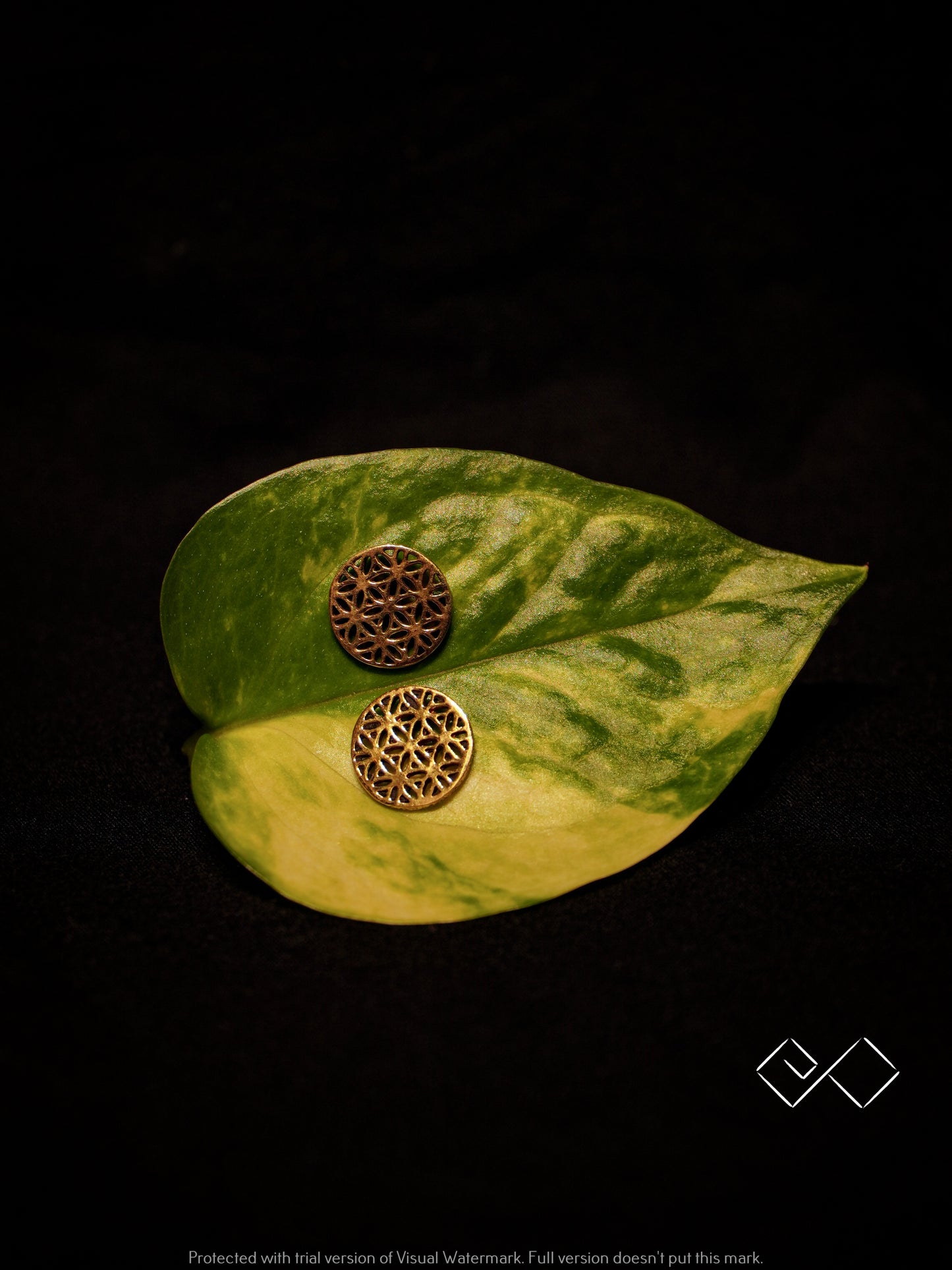 Flower of Life