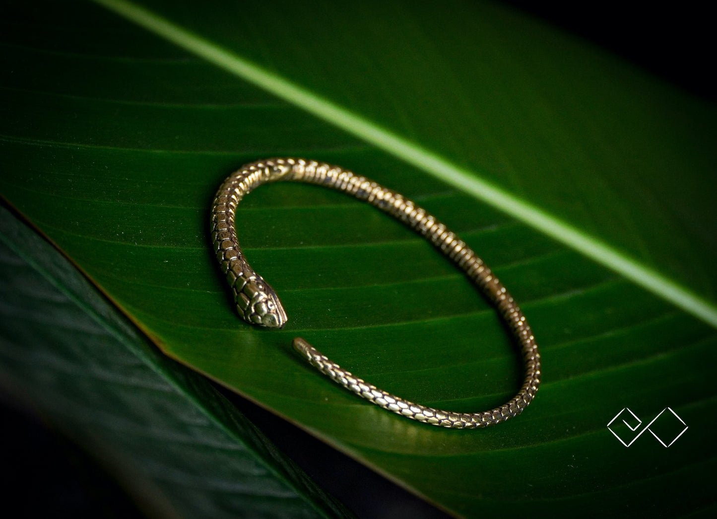 Snake Bite